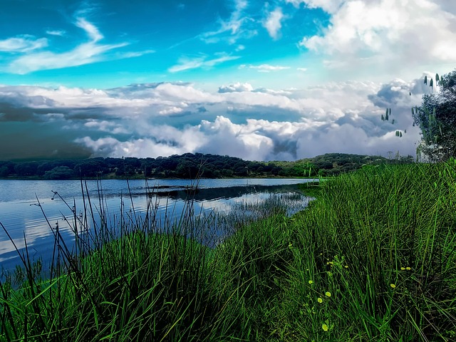 Free Lake Landscape photo and picture