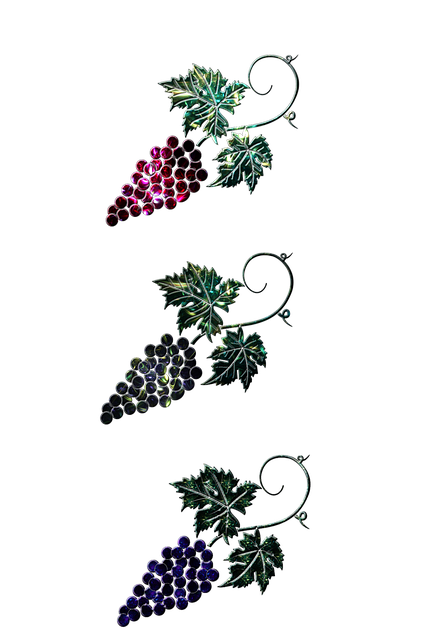 Free Grapes Food illustration and picture