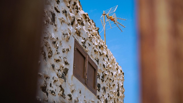 Free Building Architecture photo and picture