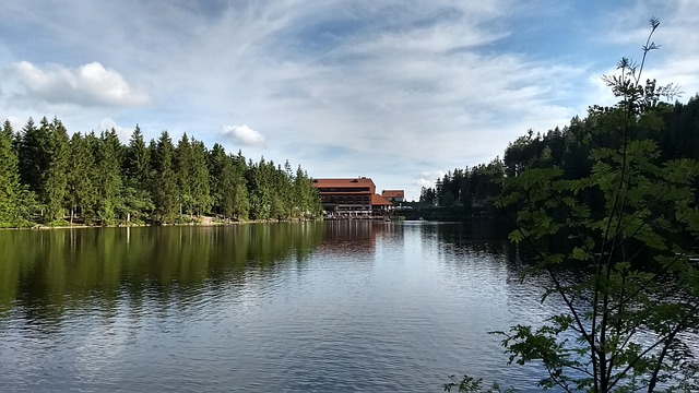 Free Black Forest Mummelsee photo and picture