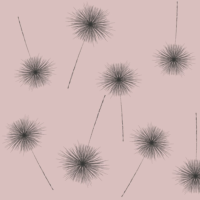 Free dandelions seeds fluff illustration