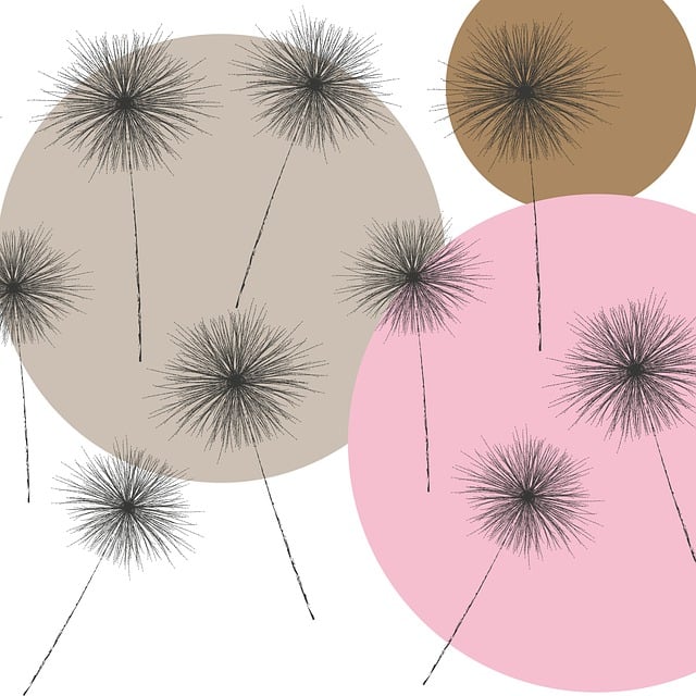 Free dandelions nature seeds illustration