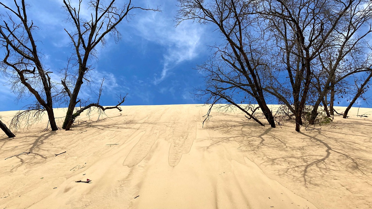 Dunes Indiana Sable Des Photo gratuite sur Pixabay Pixabay