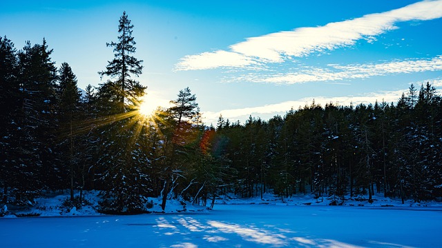 Free Nature Winter photo and picture