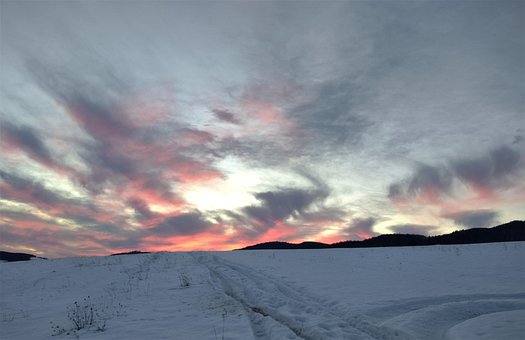 Free Winter Snow photo and picture