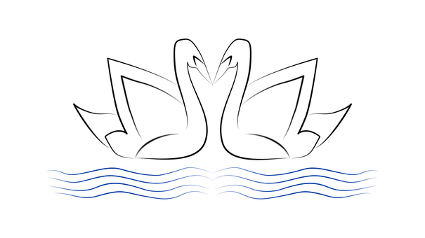 Free Bird Swan illustration and picture