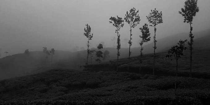 Free Mountain Nature photo and picture