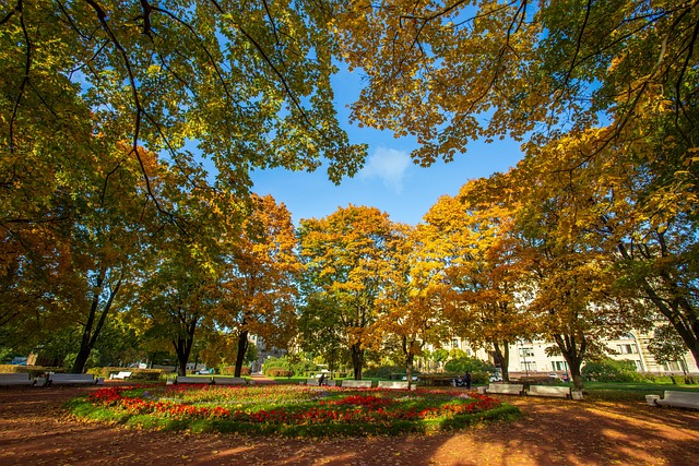 Efterår, Petersborg, Rusland