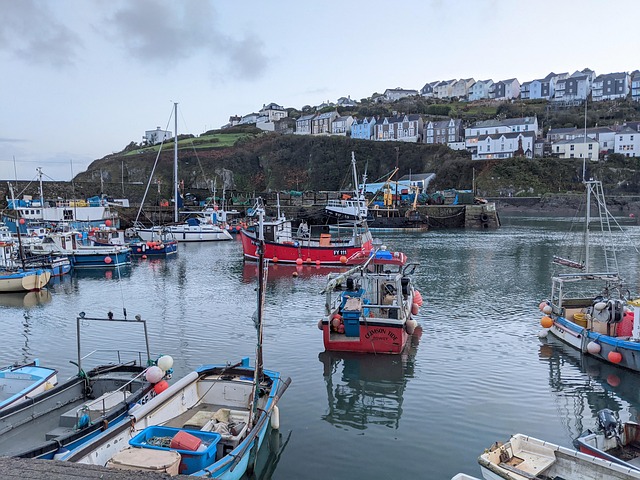 Free Harbour Boats photo and picture