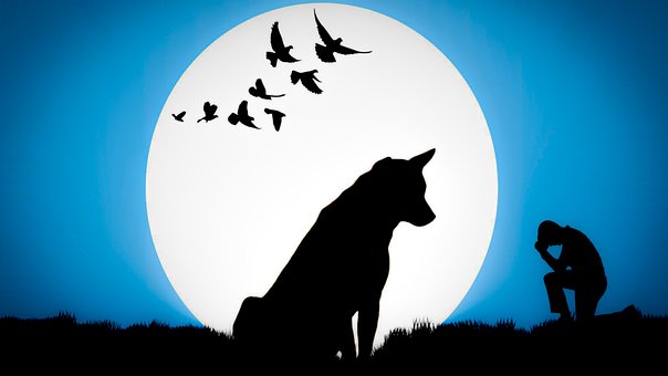 Free Dog Lovers Sad Man photo and picture