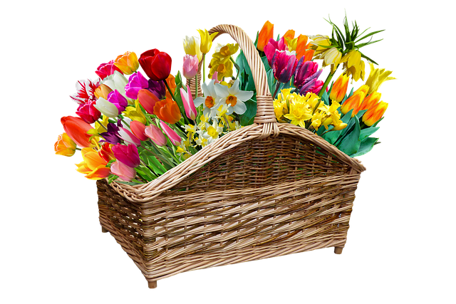 De Lente, Seizoen, Bloemen, Uitknippen