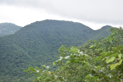 Free View Nature photo and picture