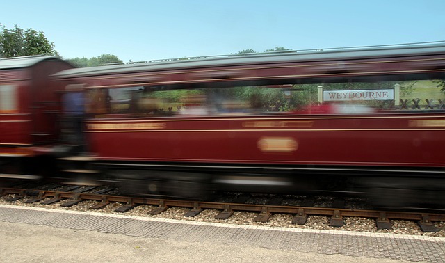 Free Movement Speed photo and picture