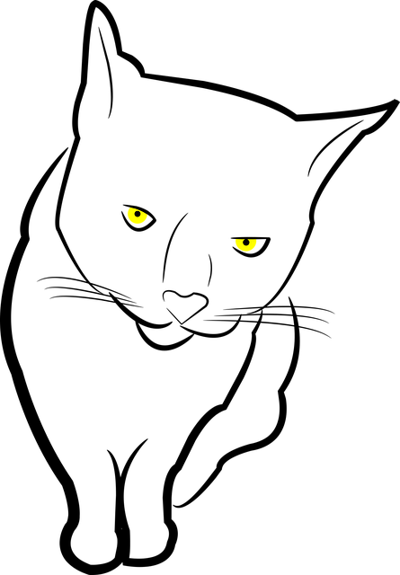 Dyr, Kat, Feline, Tegning, Kæledyr