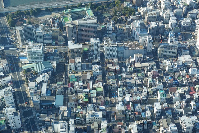 Free City Travel photo and picture