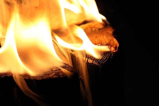 Free Fire Log Candle photo and picture