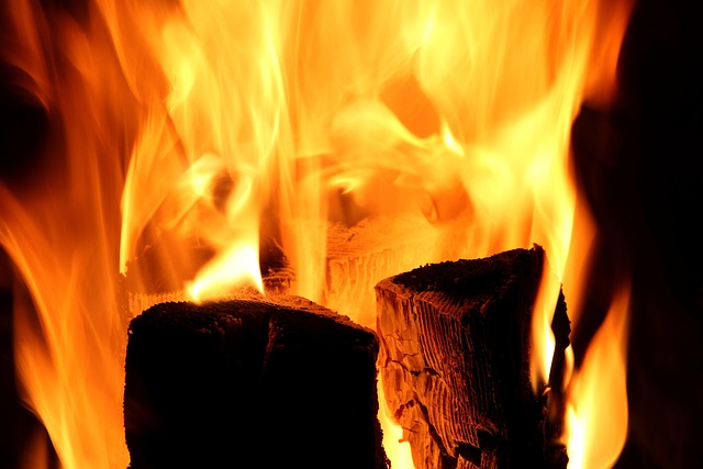 Free Fire Wood photo and picture