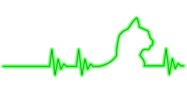 Free cat neon cardiogram illustration