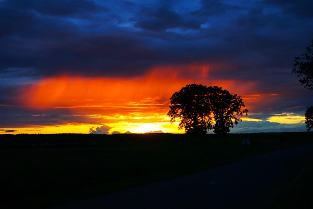 Free Sunset Nature photo and picture