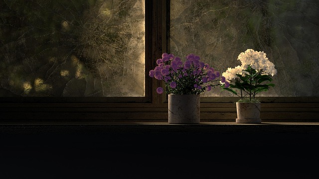 Vindue, Blomster, Smukke Blomster