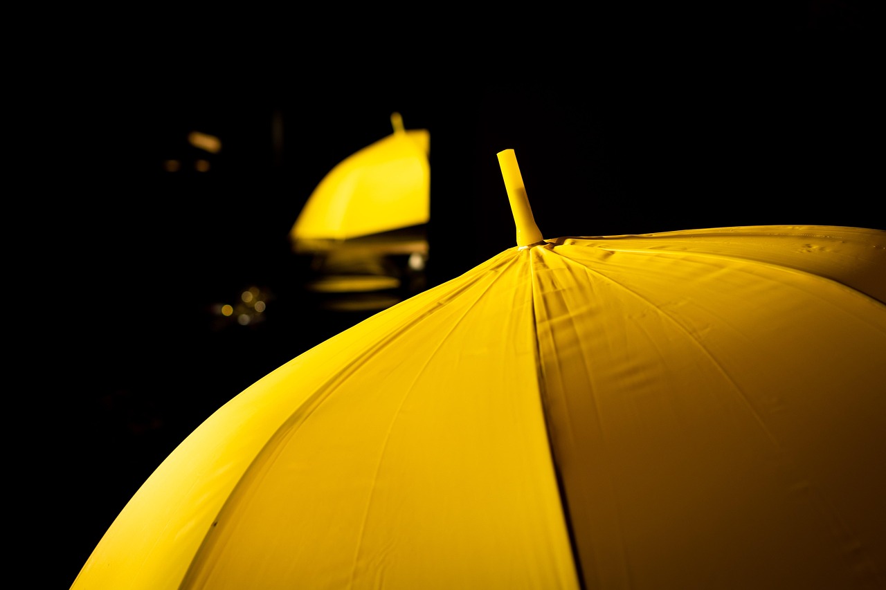 Umbrella - free online jigsaw puzzle photo