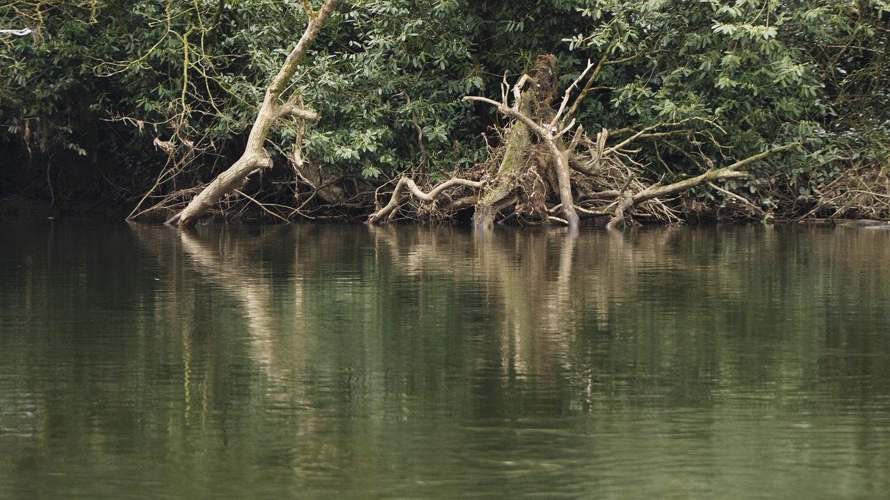 Rio Agua Verde - Foto gratuita no Pixabay - Pixabay