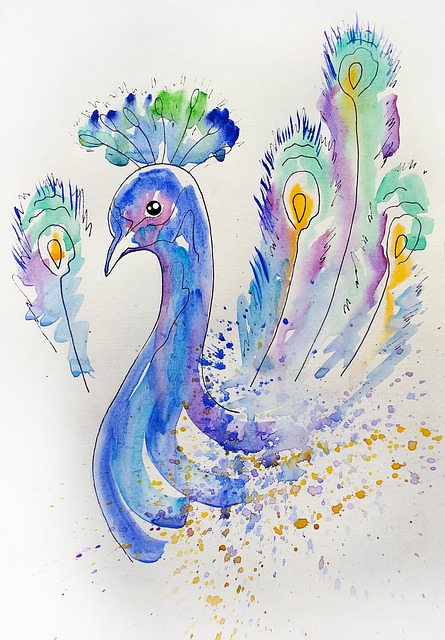 Free bird peacock plumage illustration