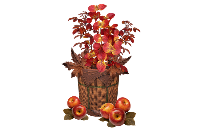 Free Leaves Apple illustration and picture