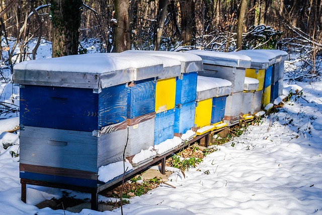 Free Honey House photo and picture