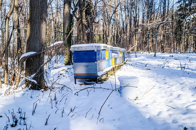 Free Honey House photo and picture