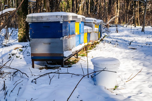Free Honey House photo and picture