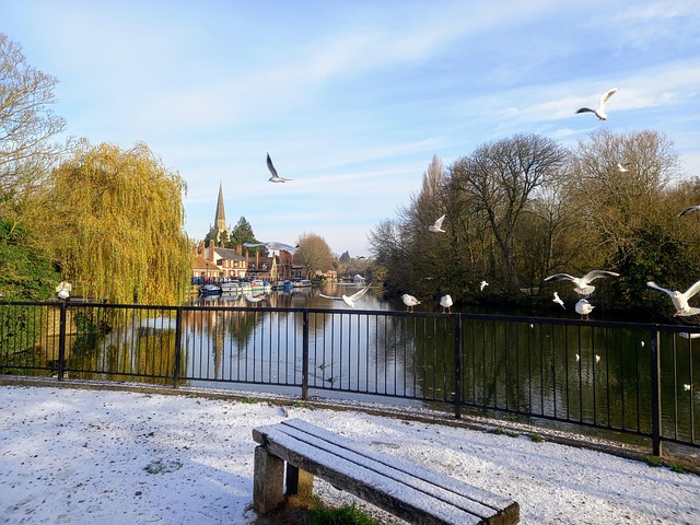 Eisig, Winter, Fluss, Möwe, Abingdon