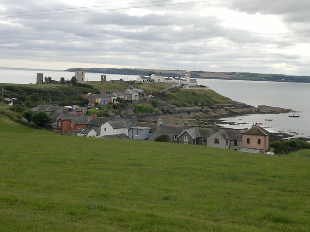 Bawn in Rochestown