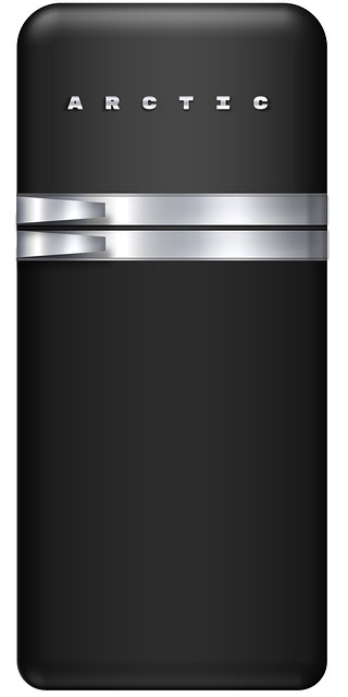 Free Refrigerator Fridge photo and picture
