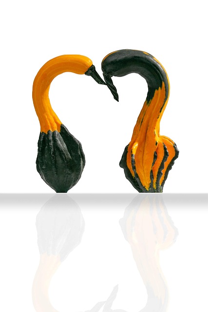 Free Swan Pumpkins Carved Pumpkins photo and picture