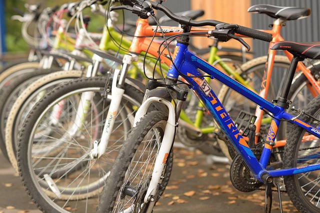 Biciclete, Biciclete De Închiriat