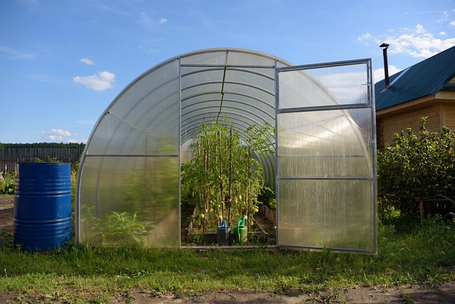 Seră, Fermă, Agricultură