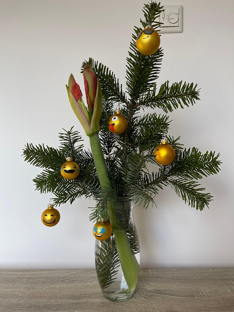 Free Christmas Emoji photo and picture