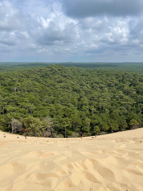 Free Nature Sand photo and picture