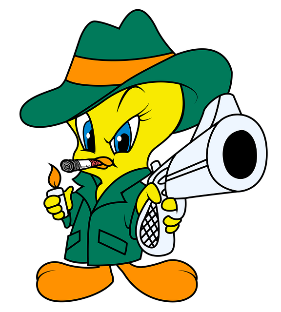 Senjata, Piolin, Tweety, Pidana