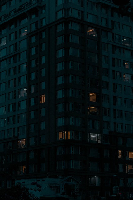Free Building Night photo and picture
