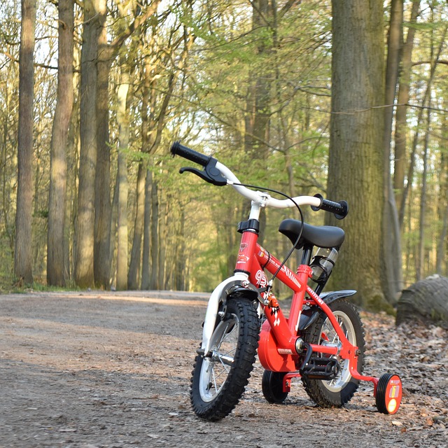 Bicicleta, Naturaleza, Al Aire Libre