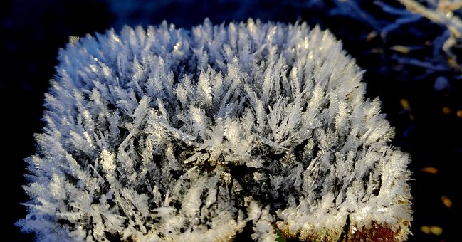 Free Winter Ice Crystals photo and picture