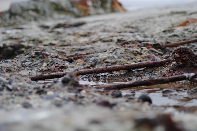 Free Beach Concrete photo and picture