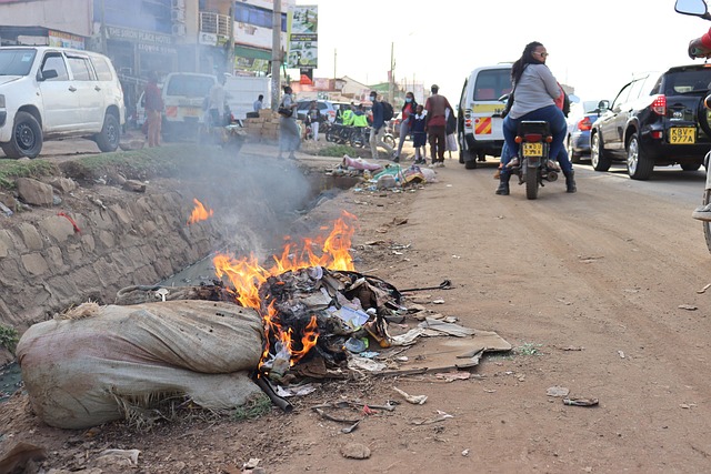 Free Africa Riot photo and picture