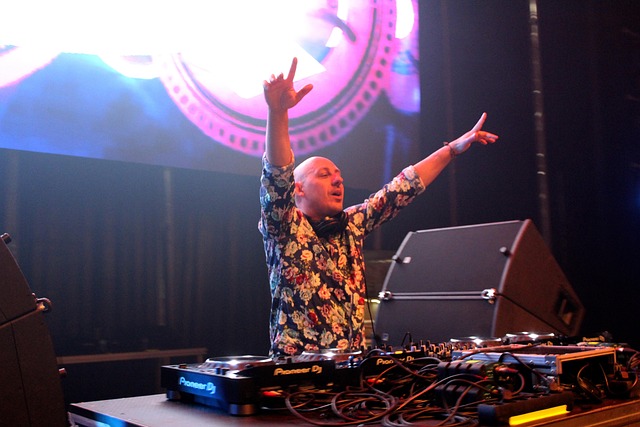 Dj, Show, Festival, Edm, Audio, Musik