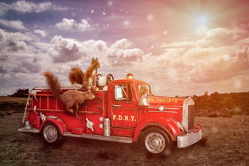 Free Squirrel Fire Truck photo and picture