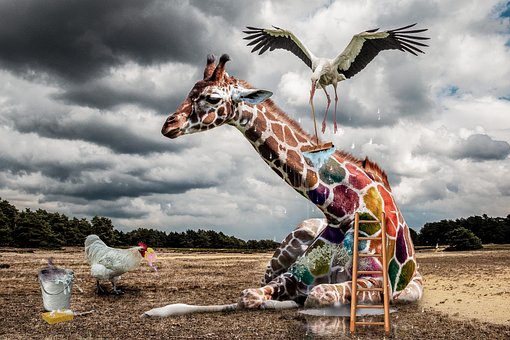 Free Giraffe Stork photo and picture
