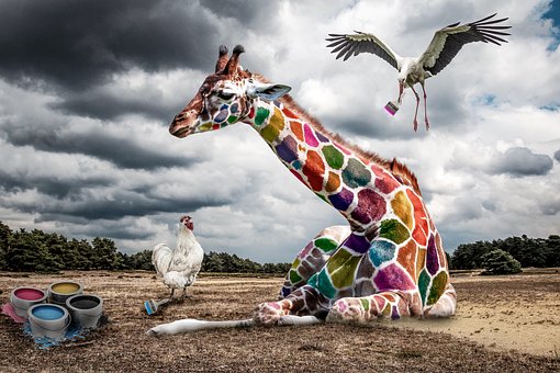Free Giraffe Colorful Giraffe photo and picture