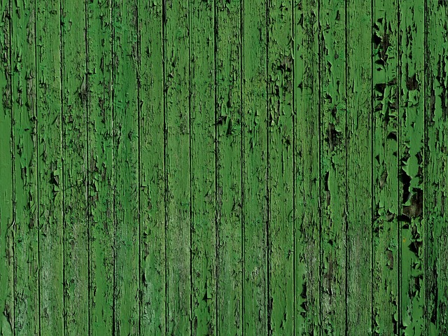 Free Green Old photo and picture